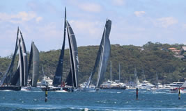 Boxing Day Sydney to Hobart Start with Sail Australia